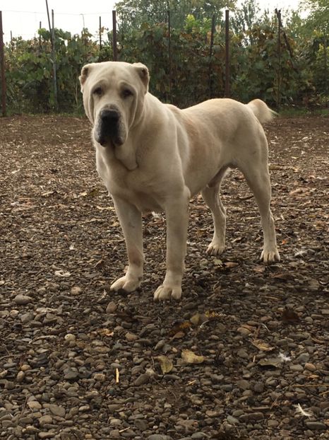 35114938-54E2-4C35-9A47-FD35FEE6F05C - Mathias