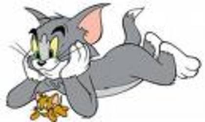 323 - tom si jerry