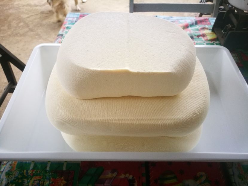  - 4 - BRÂNZĂ DE CAPRA
