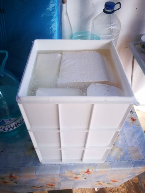  - 4 - BRÂNZĂ DE CAPRA