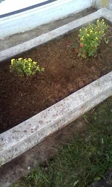  - 2020 LUMINAȚIA 30oct-1nov