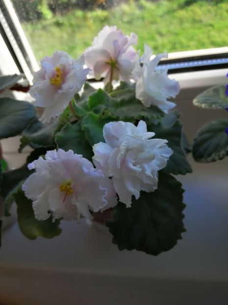  - Le Chateau Margaux