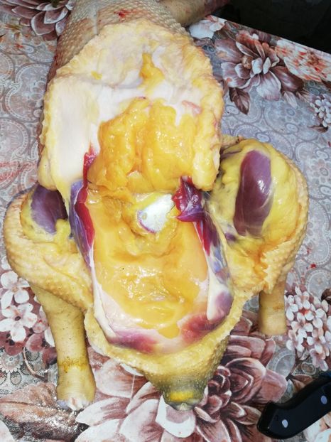  - Bunătăți obținute din GÂȘTE