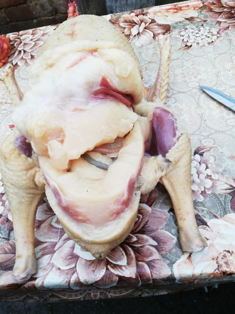  - Bunătăți obținute din GÂȘTE