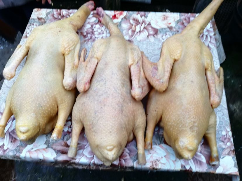  - Bunătăți obținute din GÂȘTE