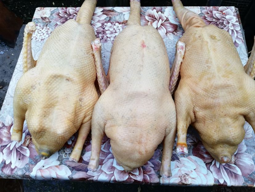  - Bunătăți obținute din GÂȘTE