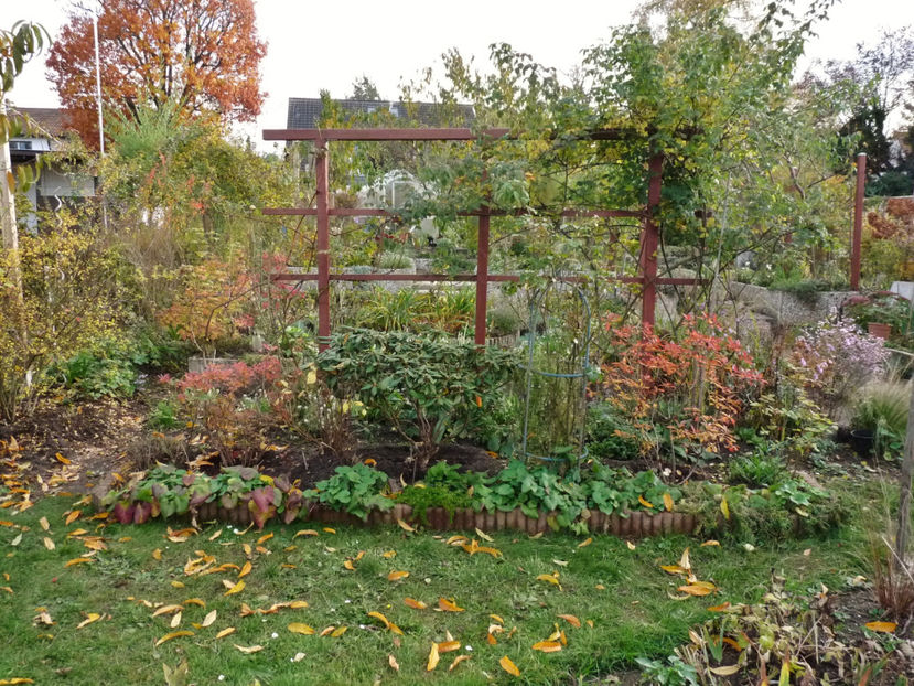 31. Octombrie - 2020 - 03 - Toamna