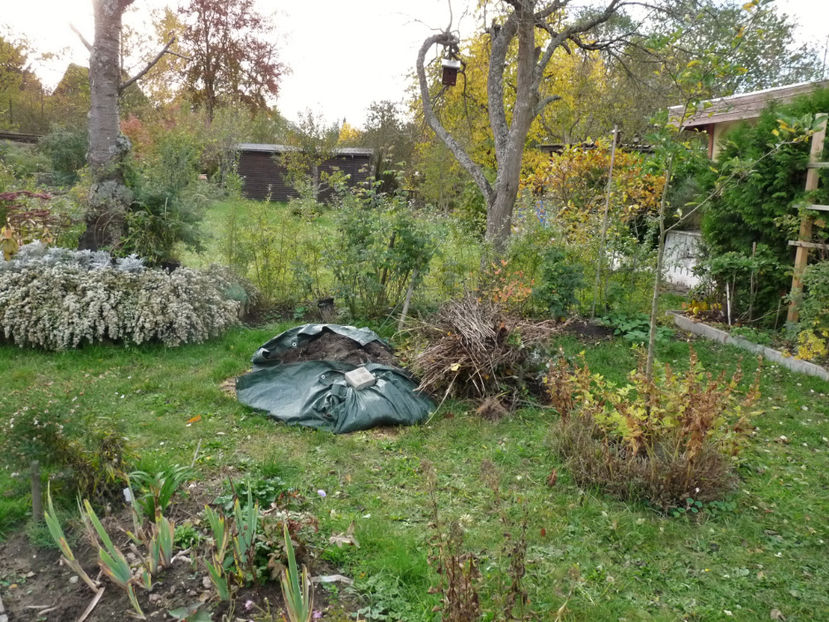 Curatenie si pregatiri de iarna. - 2020 - 03 - Toamna