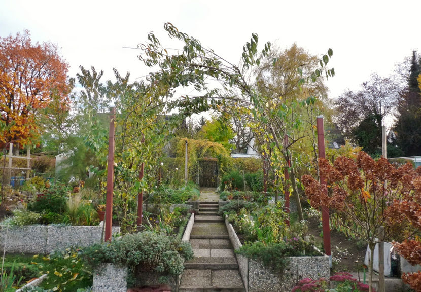  - 2020 - 03 - Toamna