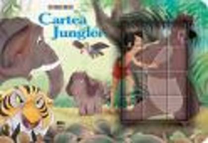 rererere - imagini cartea junglei