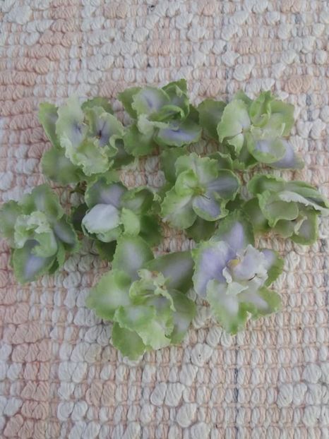 15 oct - LE Bucket Nezabudok