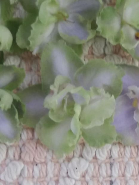 15 oct - LE Bucket Nezabudok