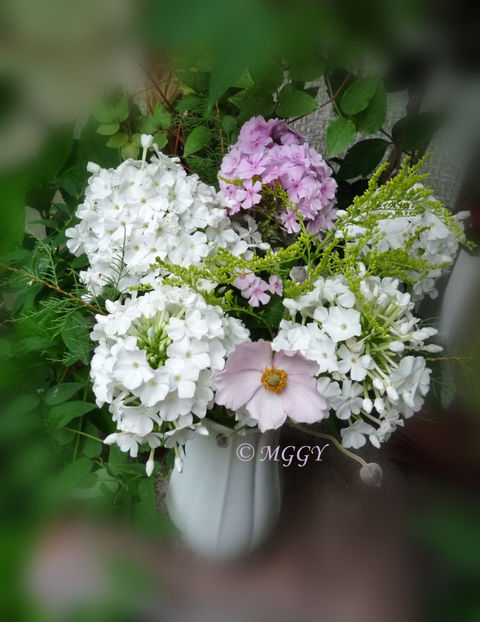 © - 01 - Floristica