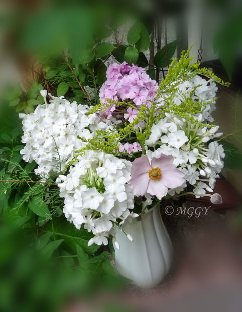 © - 01 - Floristica