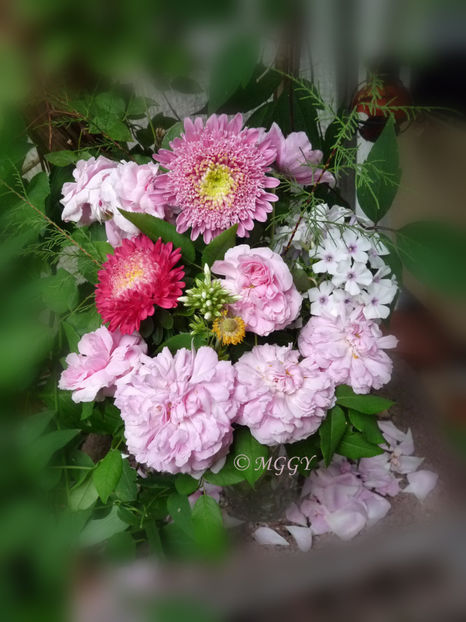 © - 01 - Floristica