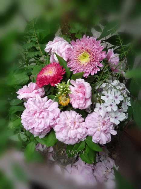 © - 01 - Floristica