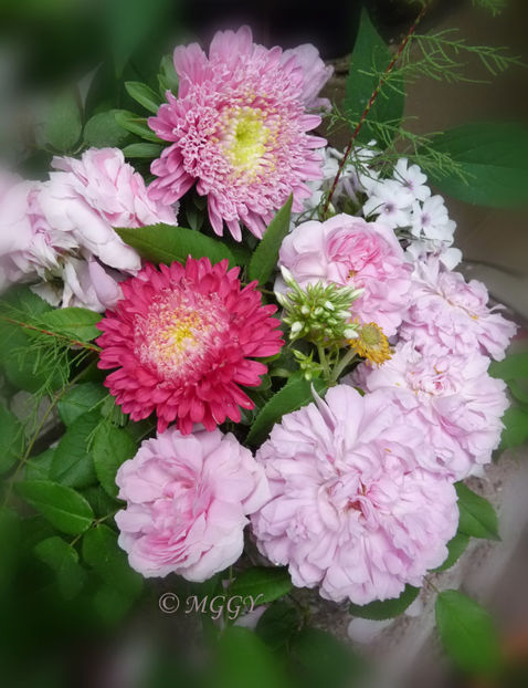 © - 01 - Floristica