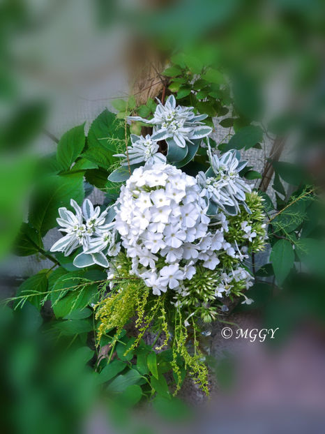 © - 01 - Floristica