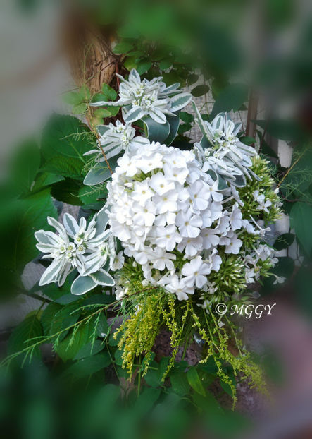 © - 01 - Floristica