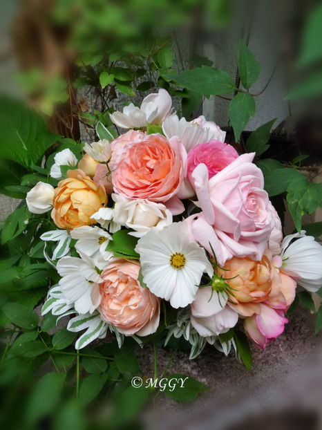 © - 01 - Floristica