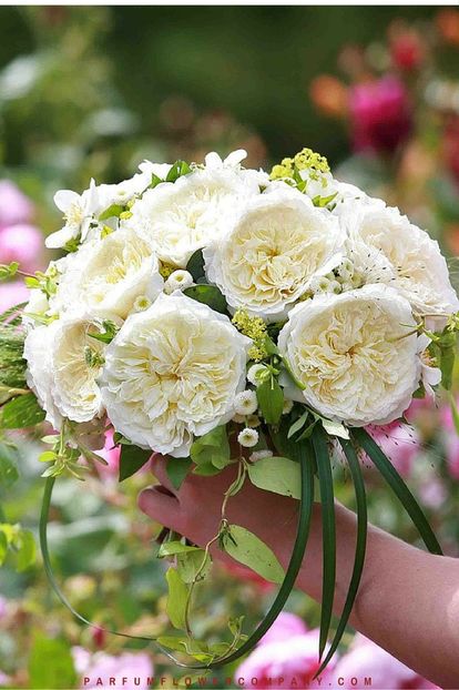 Patience-014 - PATIENCE