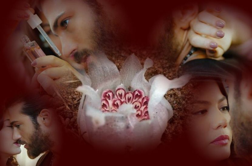 Sanem ve Can - Sanem ve Can