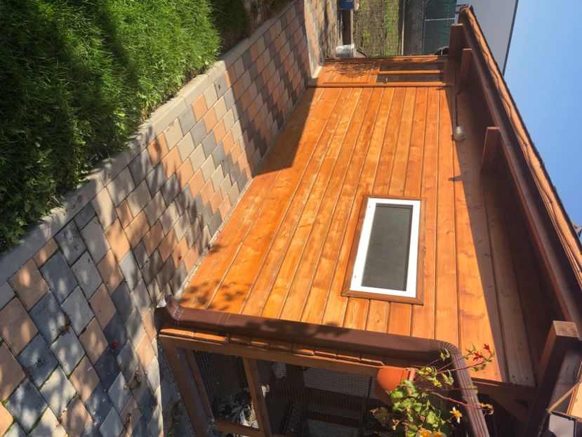 9CD00161-7453-4E31-AB30-A5FF97553A3C - Voliera de vinzare