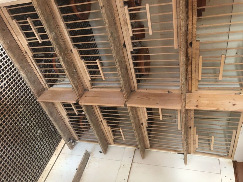 0F26E4C8-0403-4B49-BDE6-722652368CED - Voliera de vinzare