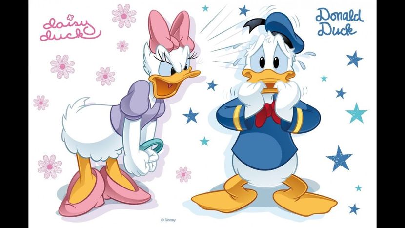 Daisy Duck - Daisy Duck