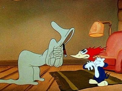 Ciocanitoarea Woody - Ciocanitoarea Woody