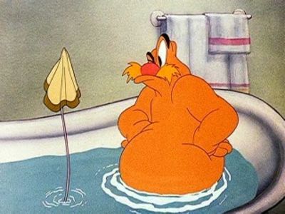 Ciocanitoarea Woody - Ciocanitoarea Woody