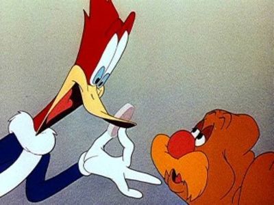 Ciocanitoarea Woody - Ciocanitoarea Woody