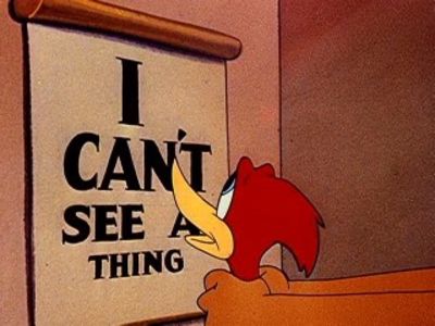 Ciocanitoarea Woody - Ciocanitoarea Woody