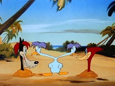 Ciocanitoarea Woody - Ciocanitoarea Woody