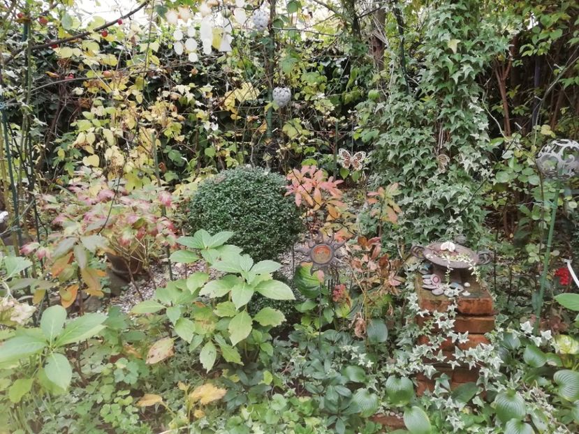  - Grădina 2020 continuare 2