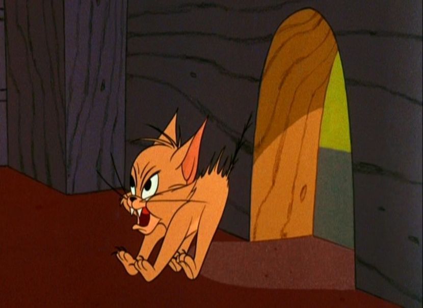 Tom si Jerry - Tom si Jerry Part 1