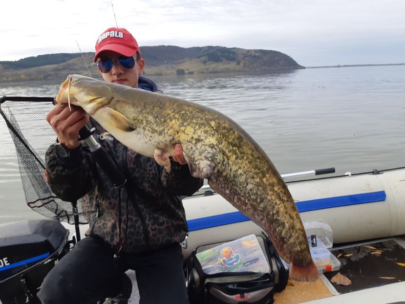 Dunare-Bazias 2020 - Capturi-pesti