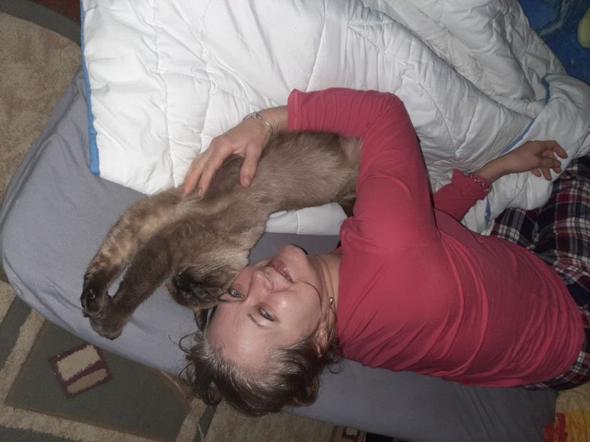  - Pisicii mei în noiembrie 2020