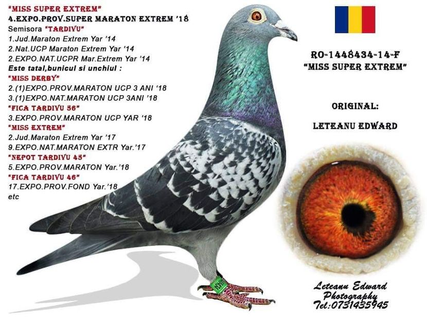  - 2020-INTARIRE MATCA-SOLZAT LETEANU EDWARD