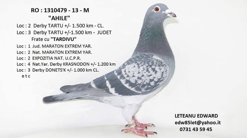  - 2020-INTARIRE MATCA-SOLZAT LETEANU EDWARD