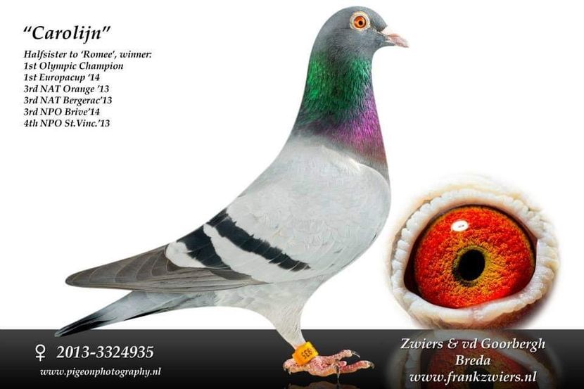  - 2020-INATARIRE MATCA-SOLZAT-VOCHIN GEORGE x MAGIRESCU x OJOG X DORNEANU