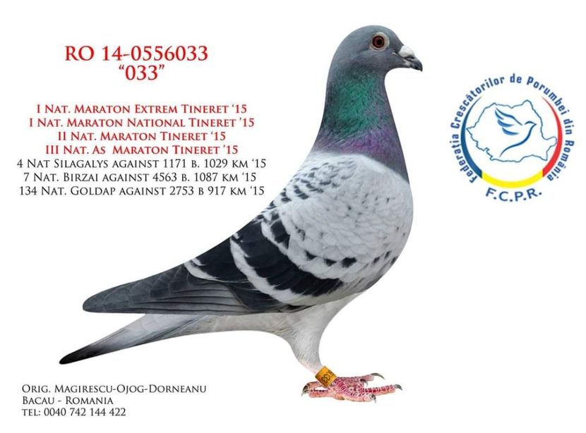  - 2020-INATARIRE MATCA-SOLZAT-VOCHIN GEORGE x MAGIRESCU x OJOG X DORNEANU