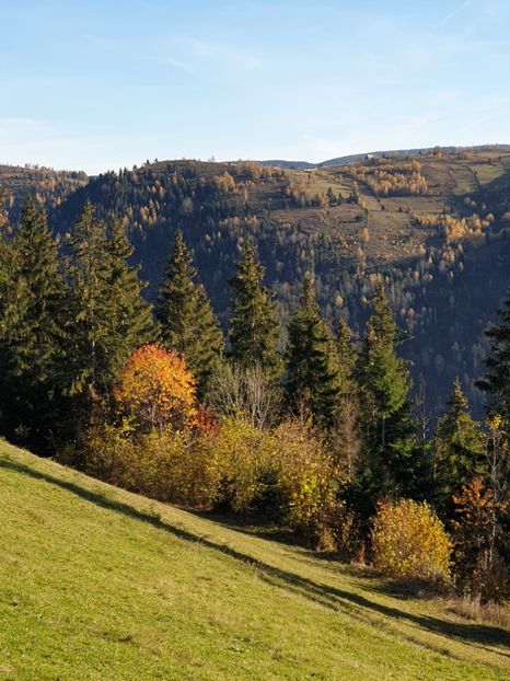  - 2020 MARIȘEL 7 noiembrie