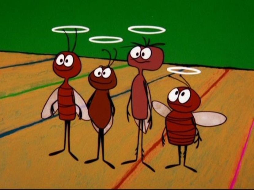 Senorella And The Glass Huarache - Senorella And The Glass Huarache