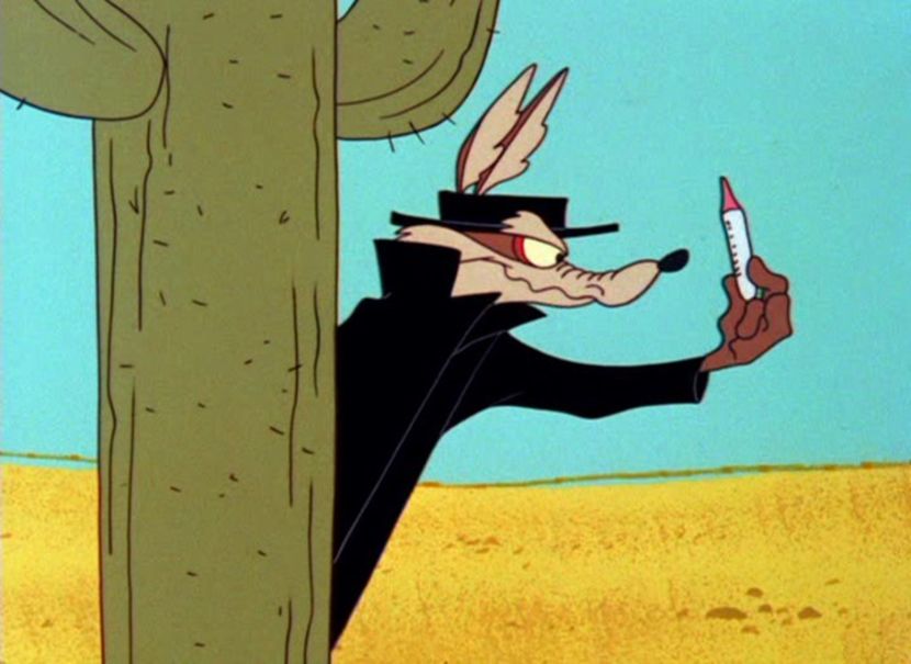 Road Runner and Wile E Coyote - Road Runner and Wile E Coyote
