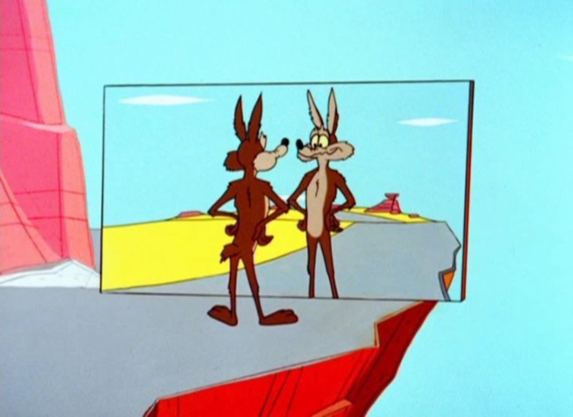 Road Runner and Wile E Coyote - Road Runner and Wile E Coyote
