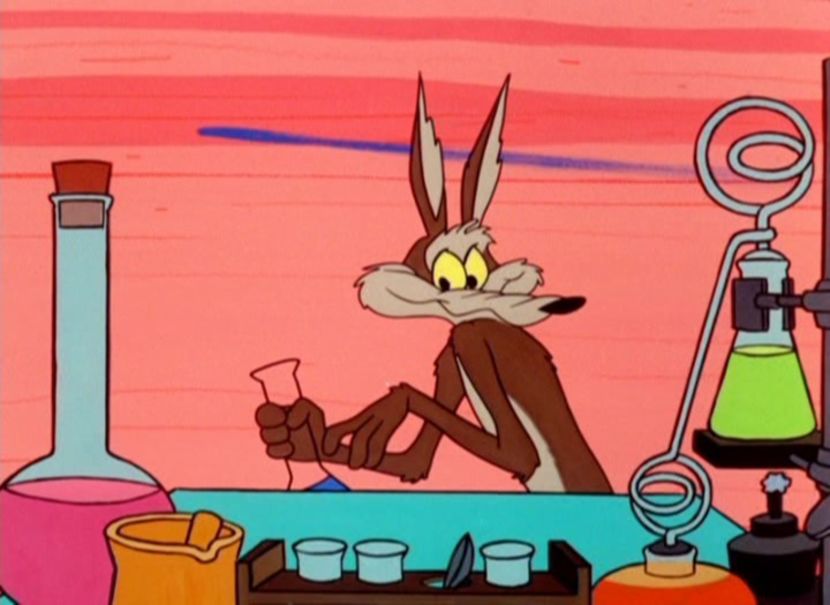 Road Runner and Wile E Coyote - Road Runner and Wile E Coyote