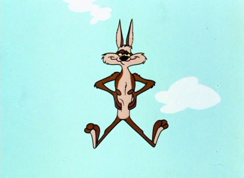 Road Runner and Wile E Coyote - Road Runner and Wile E Coyote