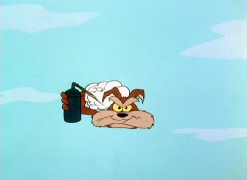 Road Runner and Wile E Coyote - Road Runner and Wile E Coyote