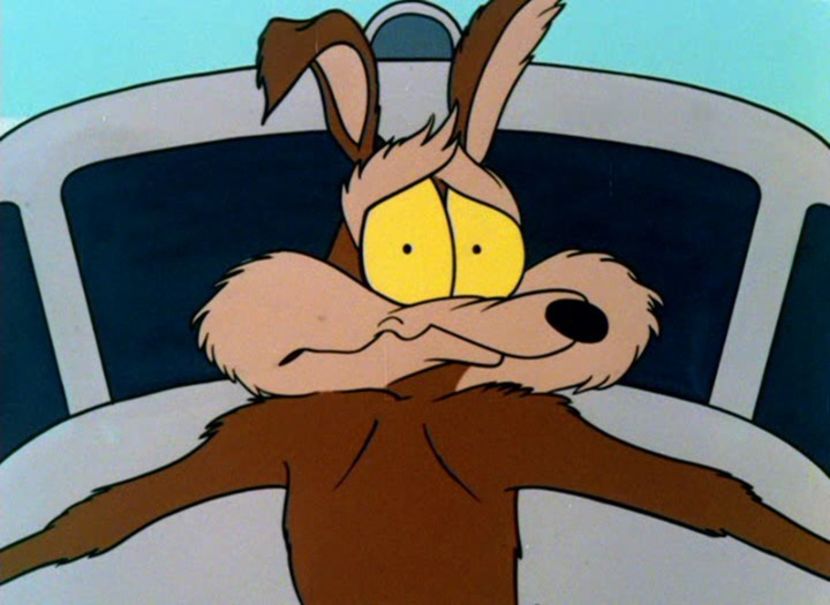 Road Runner and Wile E Coyote - Road Runner and Wile E Coyote